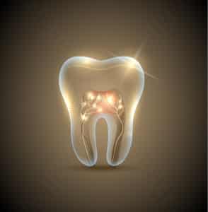 toothrootslight